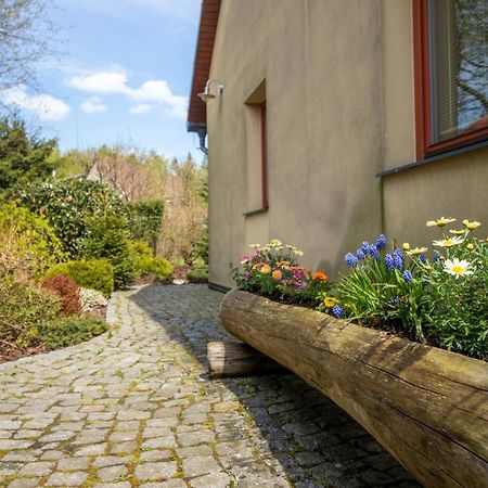 Family House Tisa Villa Exterior photo